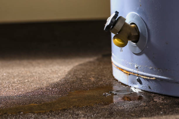 Best Water damage restoration near me  in Plymouth, PA