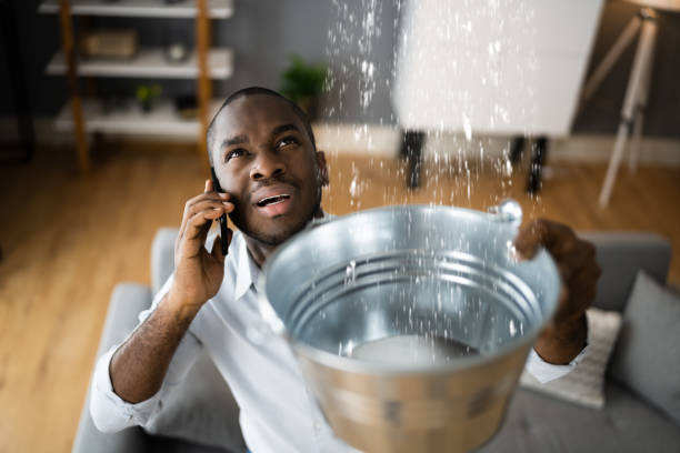 Best Water damage restoration near me  in Plymouth, PA