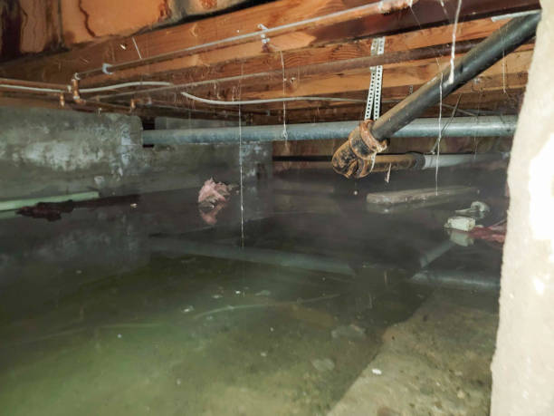 Best Ceiling water damage repair  in Plymouth, PA