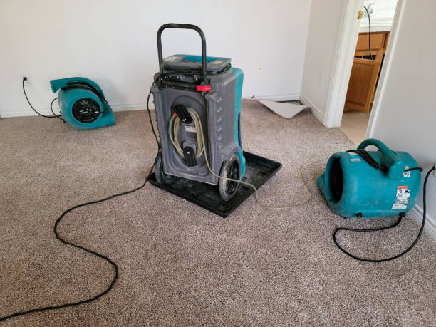 Best Mold removal after water damage  in Plymouth, PA