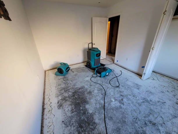 Best Water damage restoration specialists  in Plymouth, PA