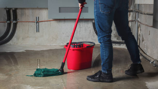 Best Flood damage cleanup  in Plymouth, PA