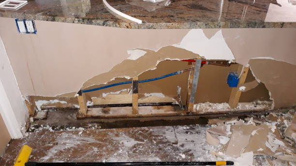 Best Sewage cleanup and water damage restoration  in Plymouth, PA