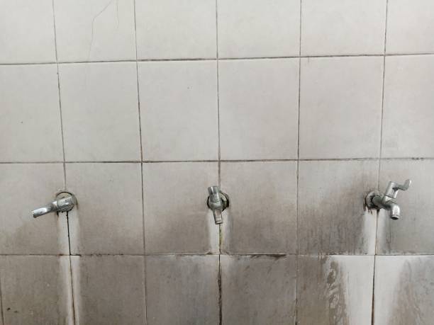 Best Water damage repair service  in Plymouth, PA