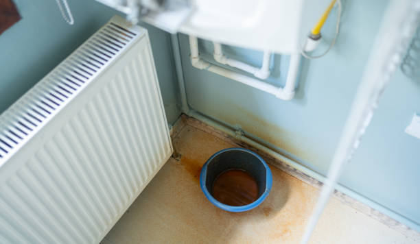 Best Water damage cleanup near me  in Plymouth, PA