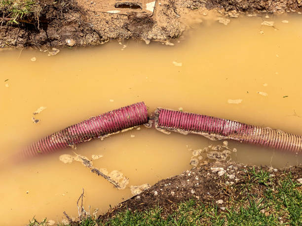 Best Professional water damage repair  in Plymouth, PA