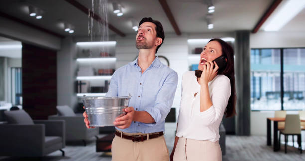 Best Residential water damage restoration  in Plymouth, PA