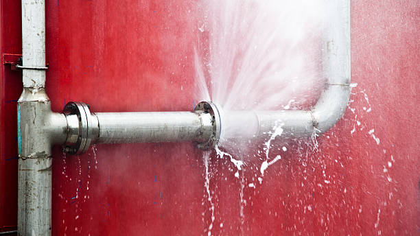 Best Basement water damage restoration  in Plymouth, PA