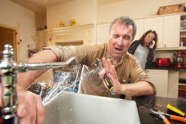 Best Flood damage cleanup  in Plymouth, PA